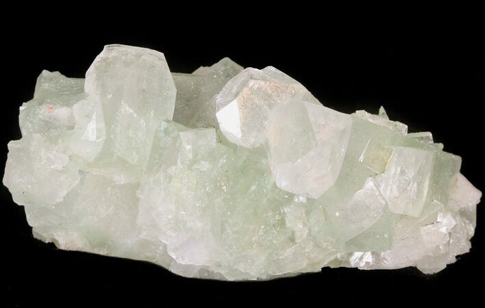 Zoned Apophyllite Crystal Cluster - India #44330